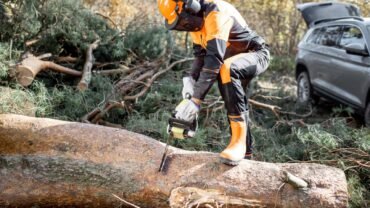 Remove Broken And Damaged Tree From Your Property: Keep Everyone Safe
