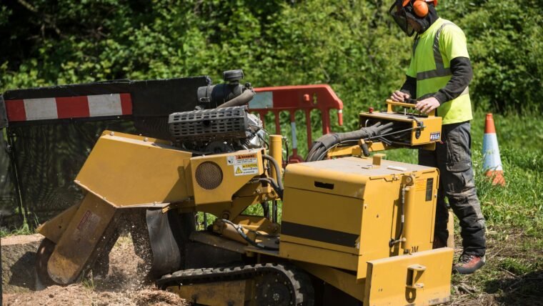 8 Most Vital Things That You Must Know About Stump Grinding