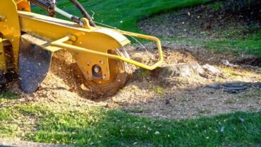 How Does Stump Removal Services Help Unlike DIY?